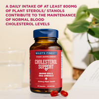 CHOLESTEROL  SUPPORT Omega-3 Fish Oil Caspsules